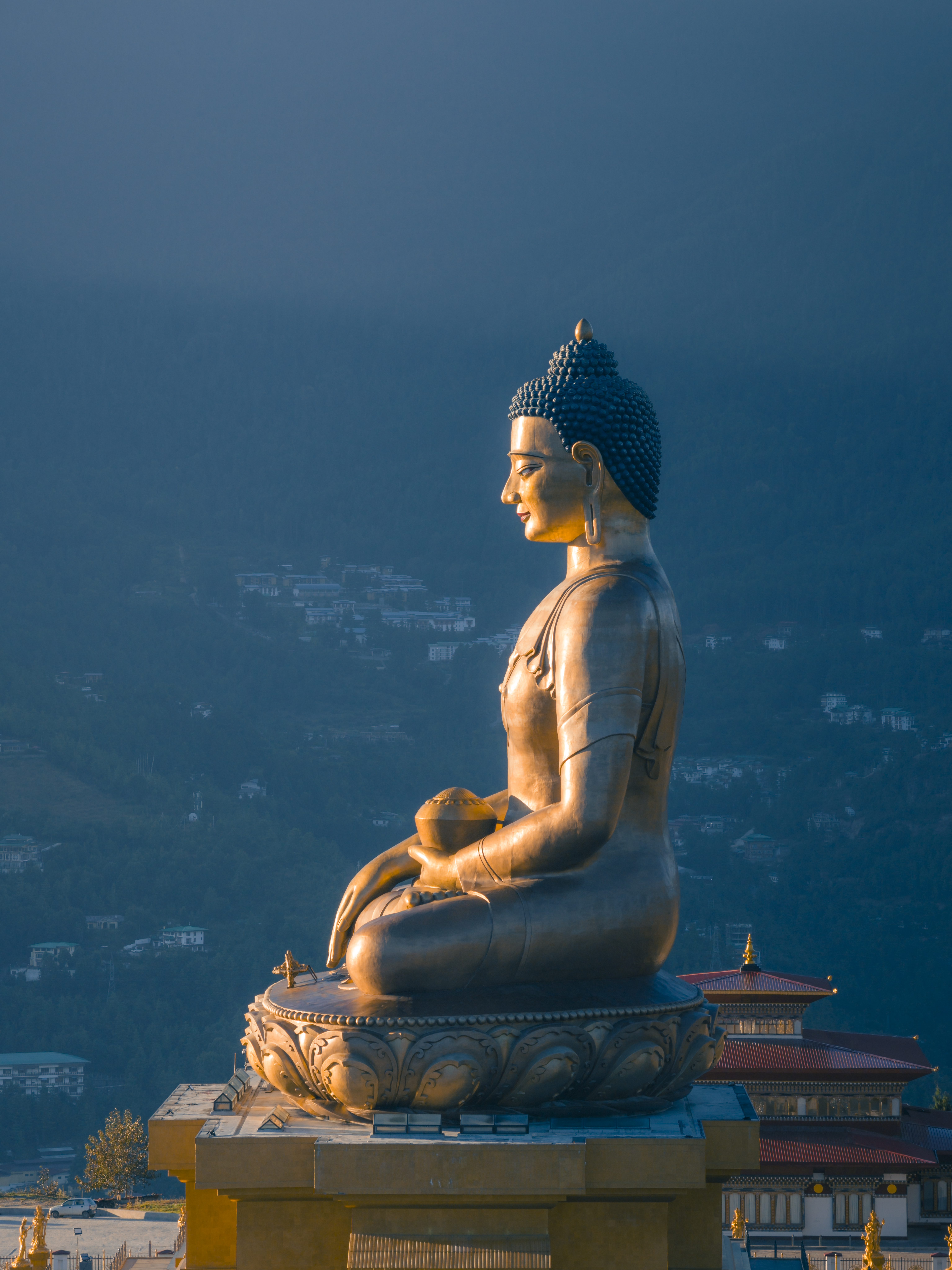 Buddha Dordenma and Bhutanese valley landscape